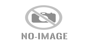 06.07.2025 Seiltechnikübung 